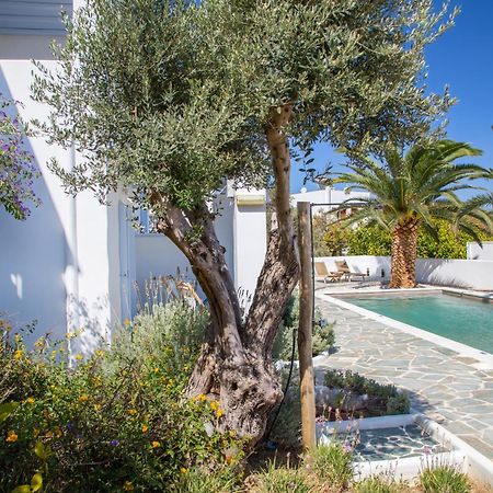 Amphitrite Apartments Skyros Exterior foto