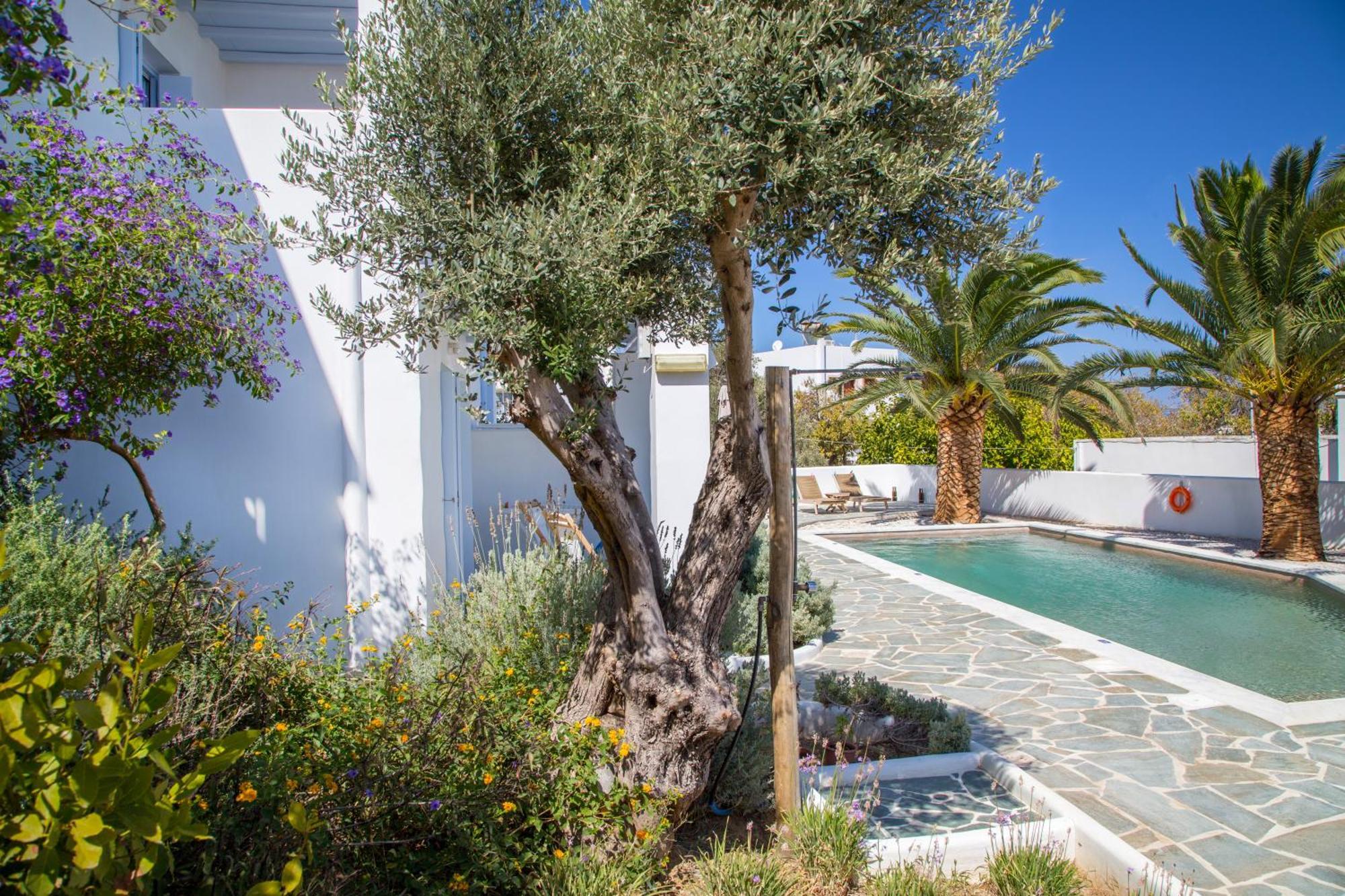 Amphitrite Apartments Skyros Exterior foto